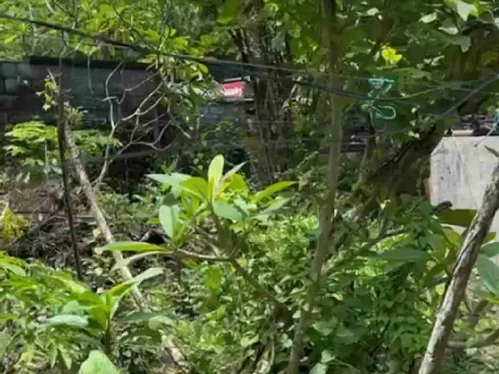 Kavling Komersial Luas 3800m² di Jalur Utama Uluwatu, Prospek Tinggi