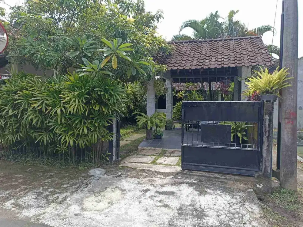 Butuh Uang Jual Murah Rumah Luas dan Sejuk Asri di moyudan Sleman Yogyakarta