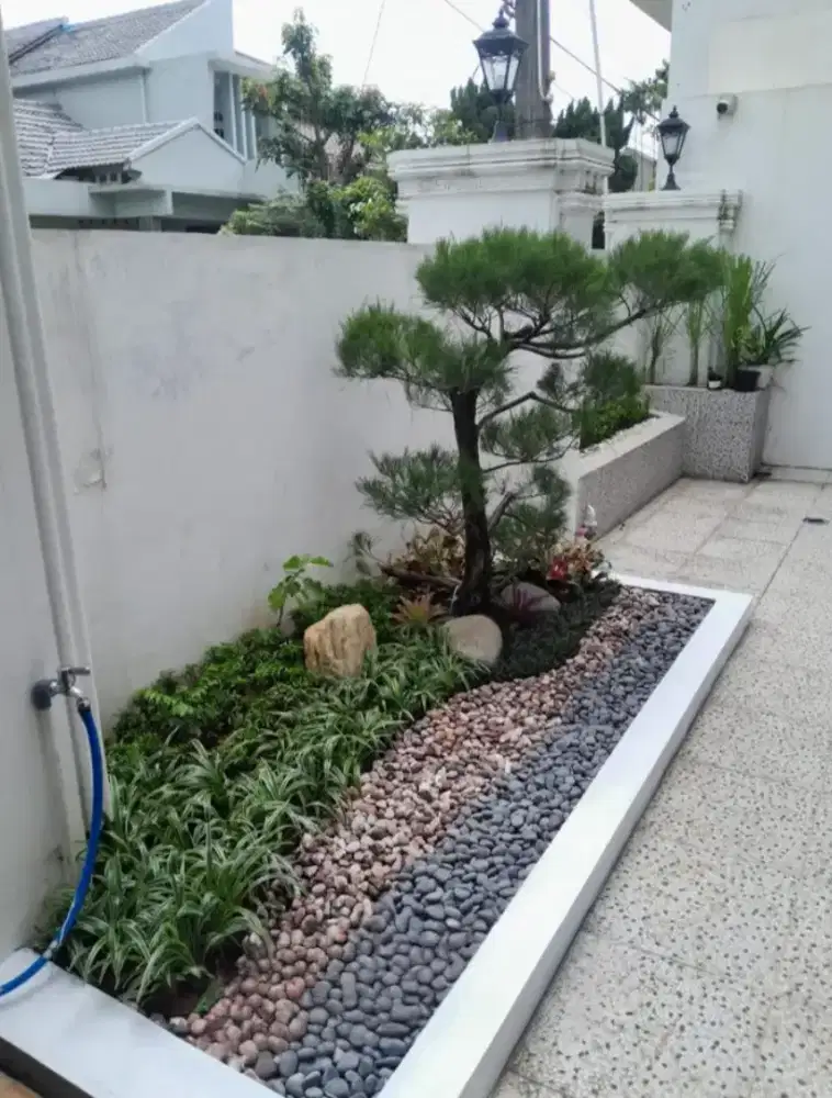 Pembuatan taman hijau minimalis
