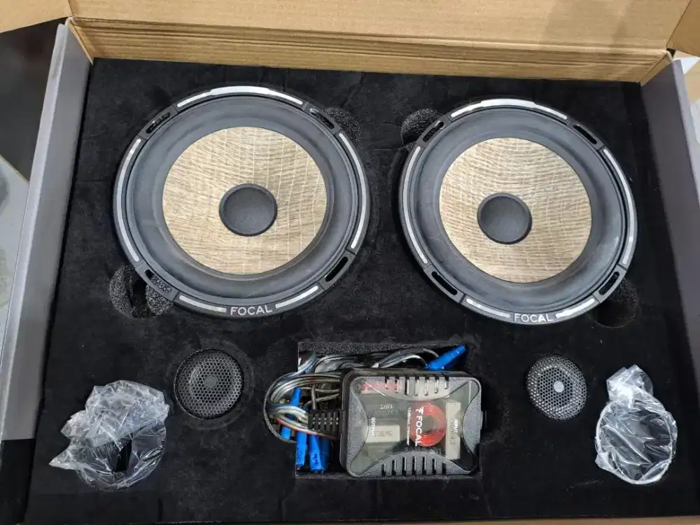 Focal PS 165 F Flax 6.5 speaker komponen audio