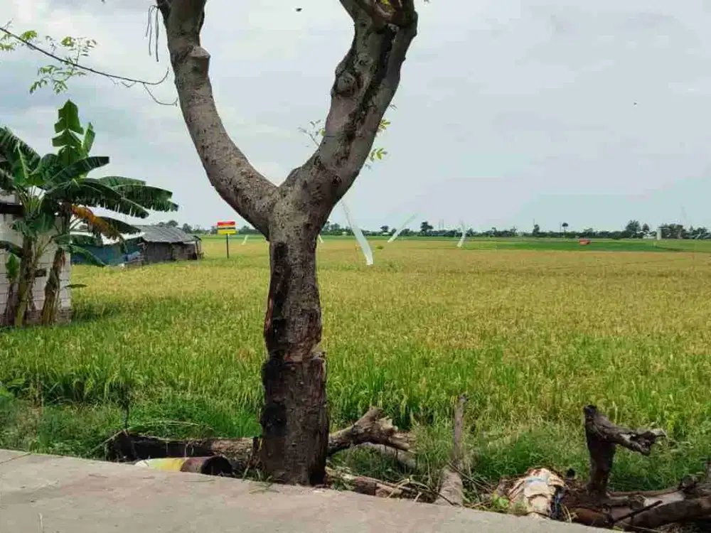 tanah darat di pusaka rakyat dekat harapan indah bekasi