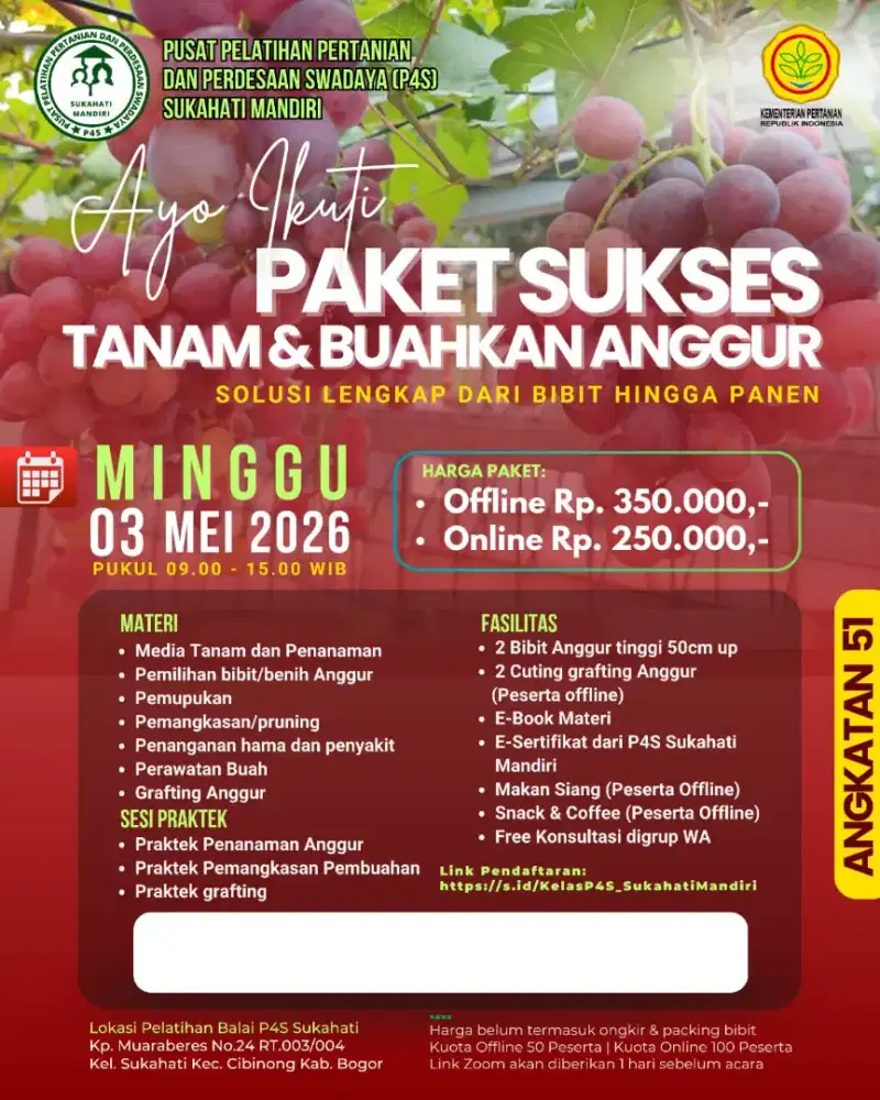 Pelatihan Budidaya Anggur Impor