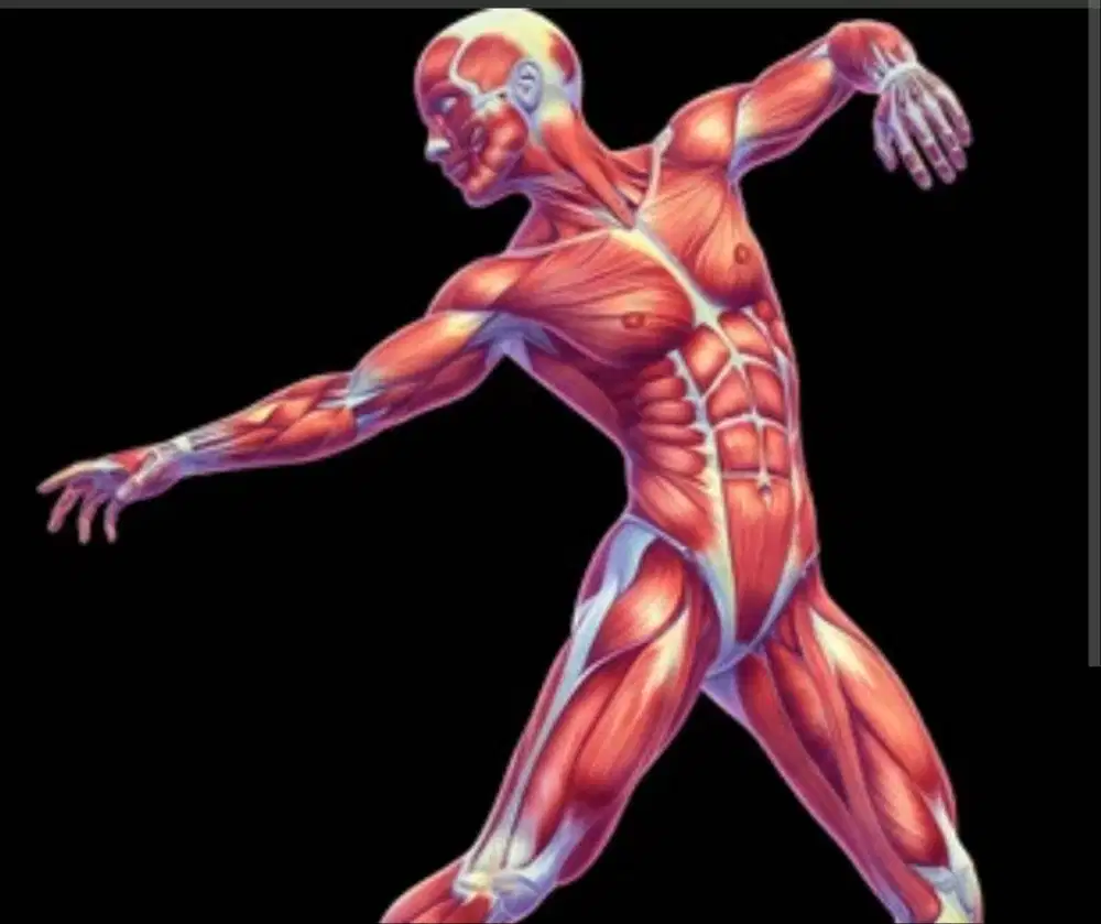 FISIOTERAPI HOME CARE