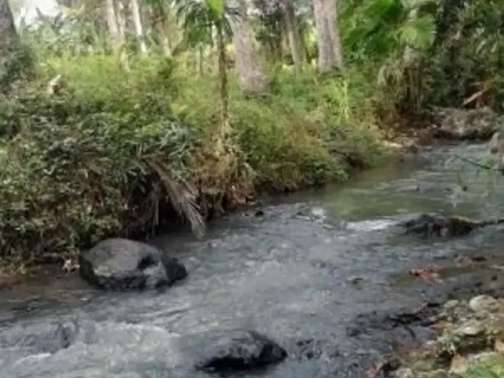 Tanah Zona Kuning View Sungai dan Sawah Terasering di Tabanan Bali