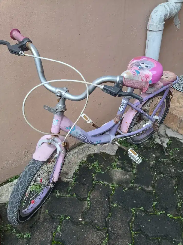 Sepeda Anak Perempuan