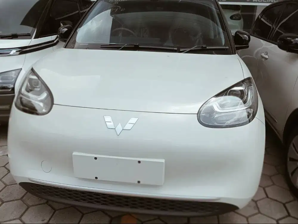 New Binguo EV  Promo