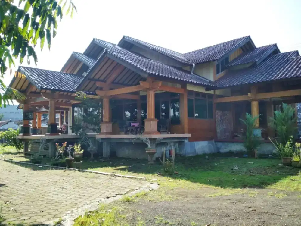 Rumah Pinggir Jalan Halaman Luas di Patrang Jember