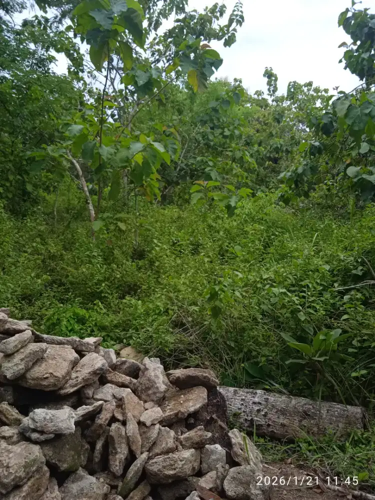 Tanah cocok untuk Makam