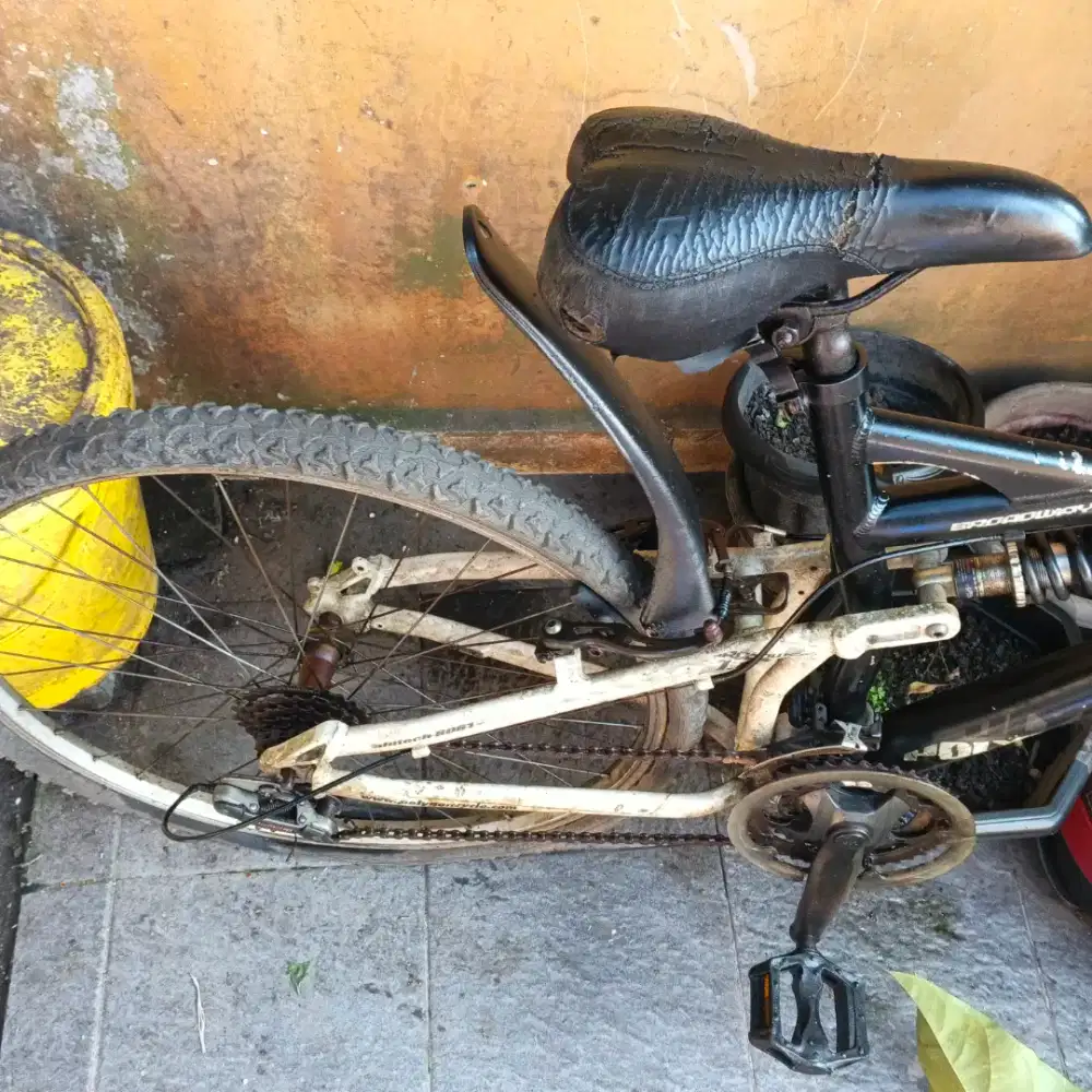 sepeda gunung polygon Broadway 1.0