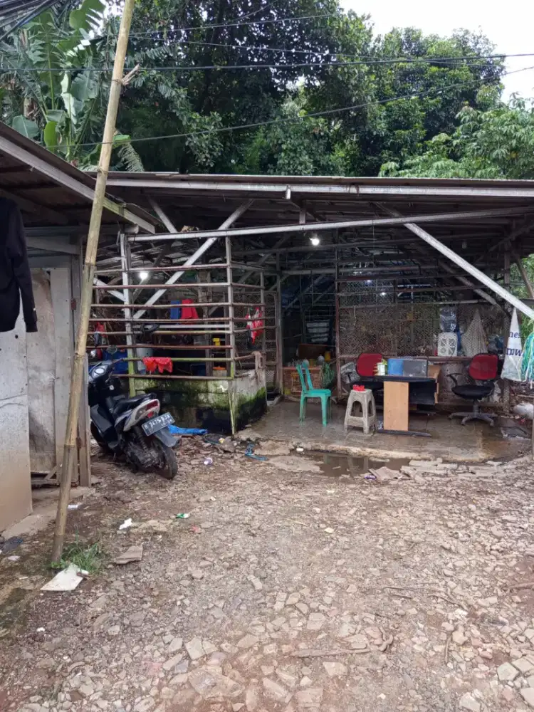 Dibutuhkan kasir untuk tempat pemotongan ayam broiler