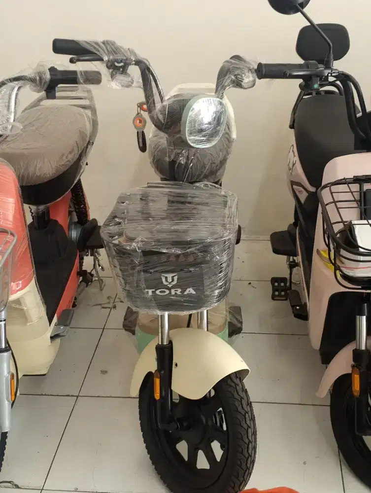 SEPEDA LISTRIK TORA ( BAGUS EBIKE )