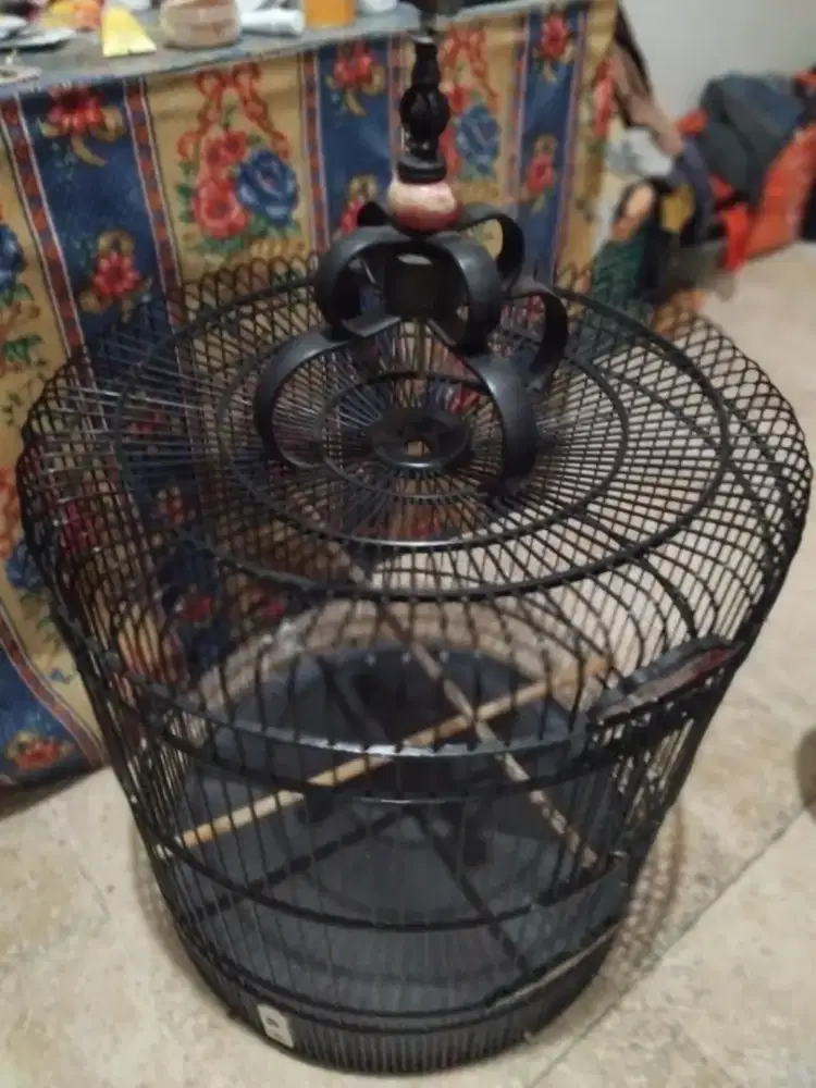 Sangkar bulat murai batu tanpa tebok uk 55