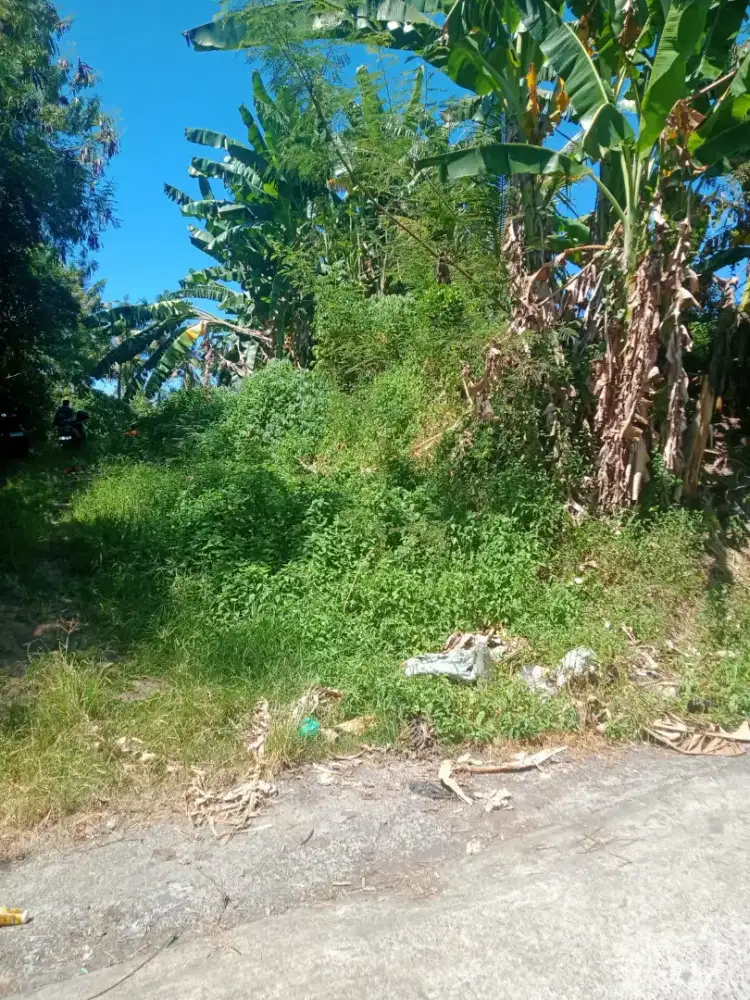Jual tanah shm di Jl cucukanlama brat taman safari IB Mantra Bali