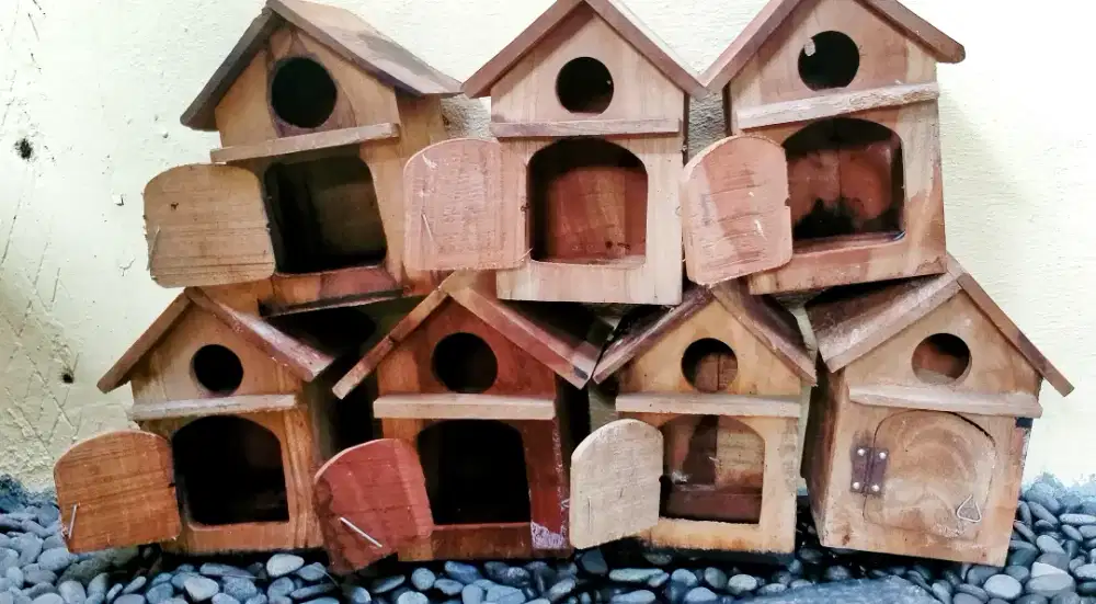 Glodok burung, ex lovebird