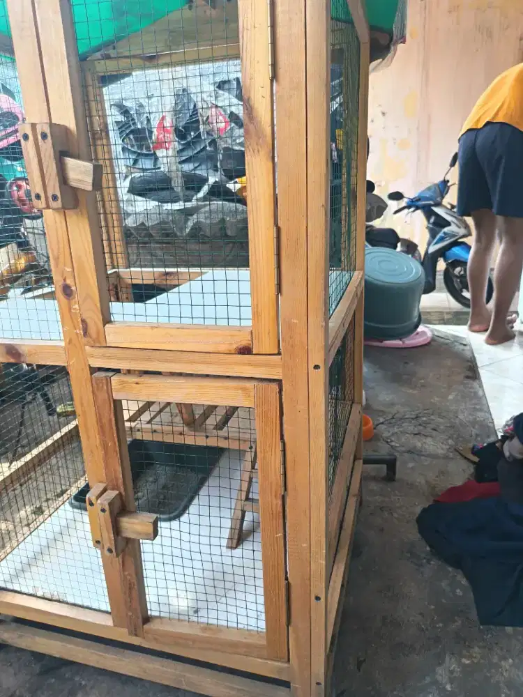 Kandang kucing tingkat