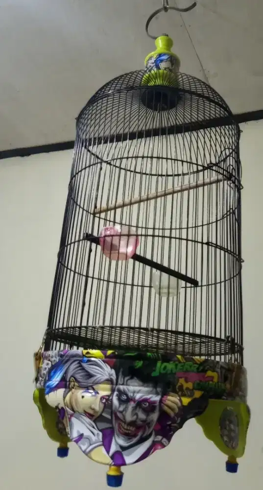 Sangkar burung Kapsul