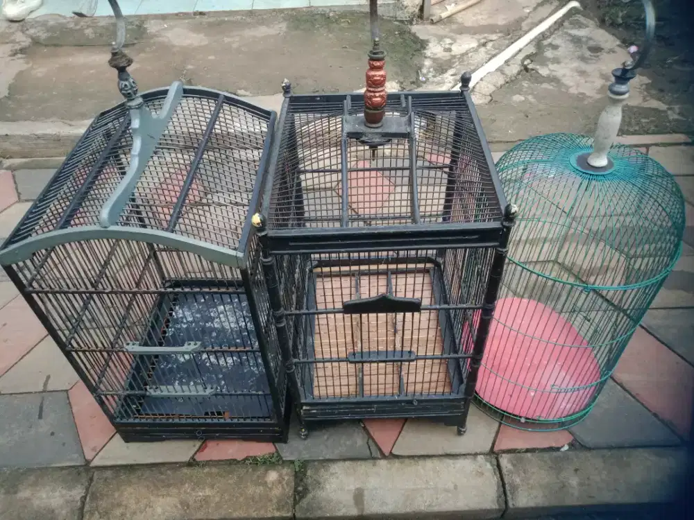 Sangkar burung bekas