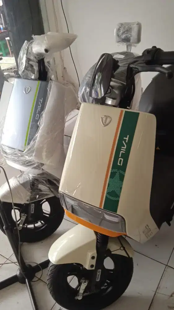 SEPEDA LISTRIK TAILG  ( BAGUS EBIKE )