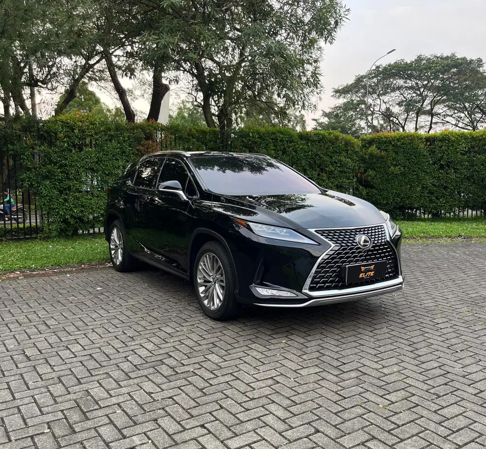 Lexus RX 300 Luxury 2020