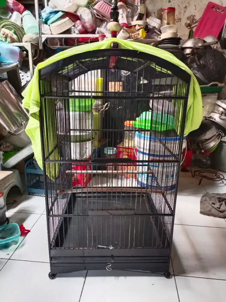 sangkar nepak 40x45