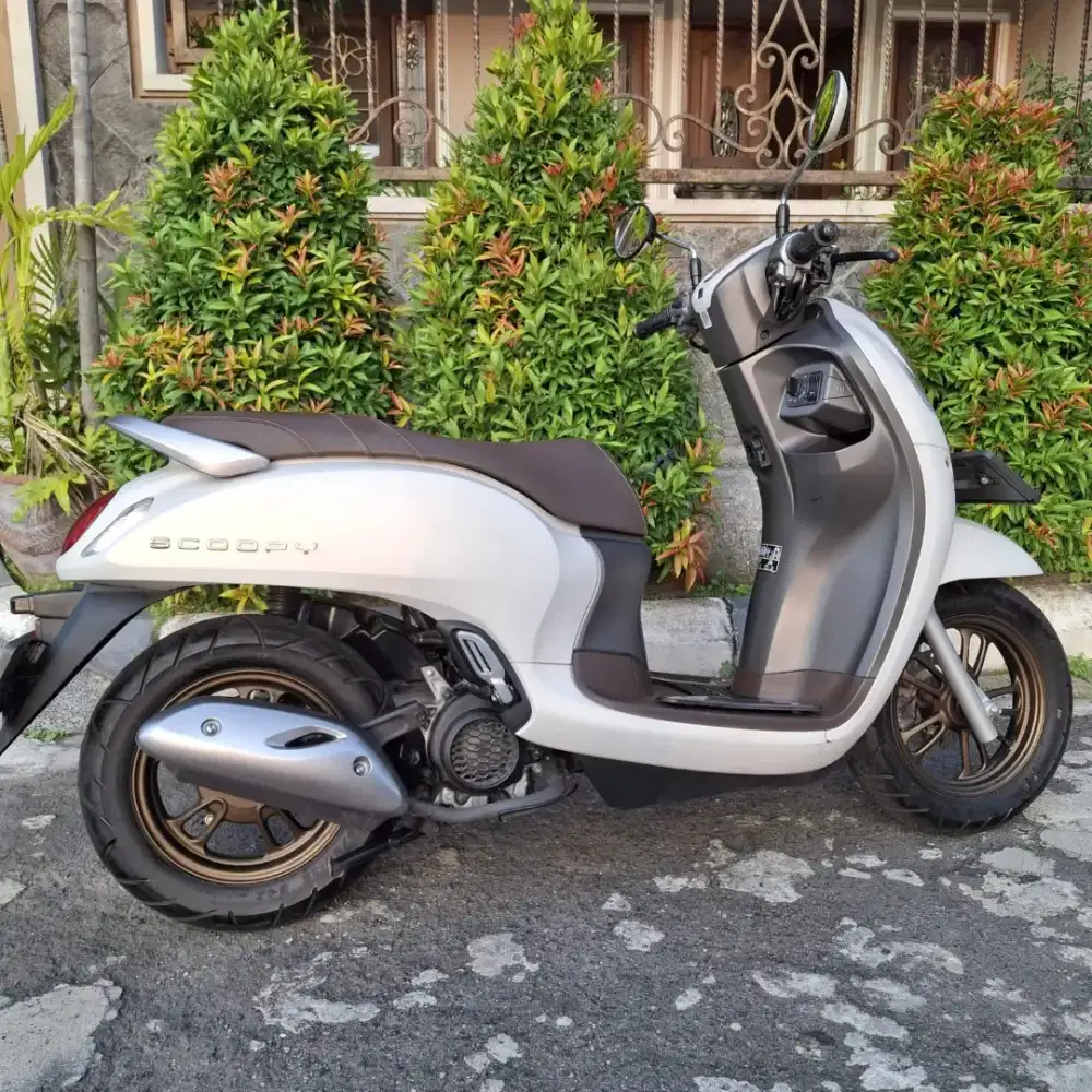 Scoopy 2024 KM6rb