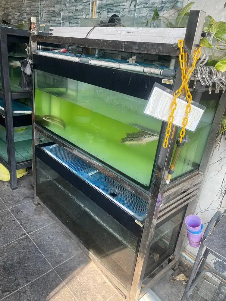 Paket Aquarium 8mm Bekas masih bagus