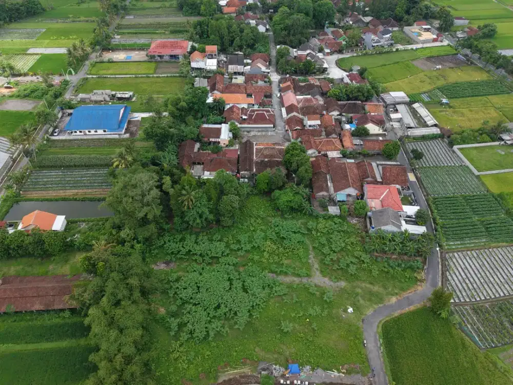 Tanah SHM Kalasan Timur Kampus UNRIYO Tajem Sleman