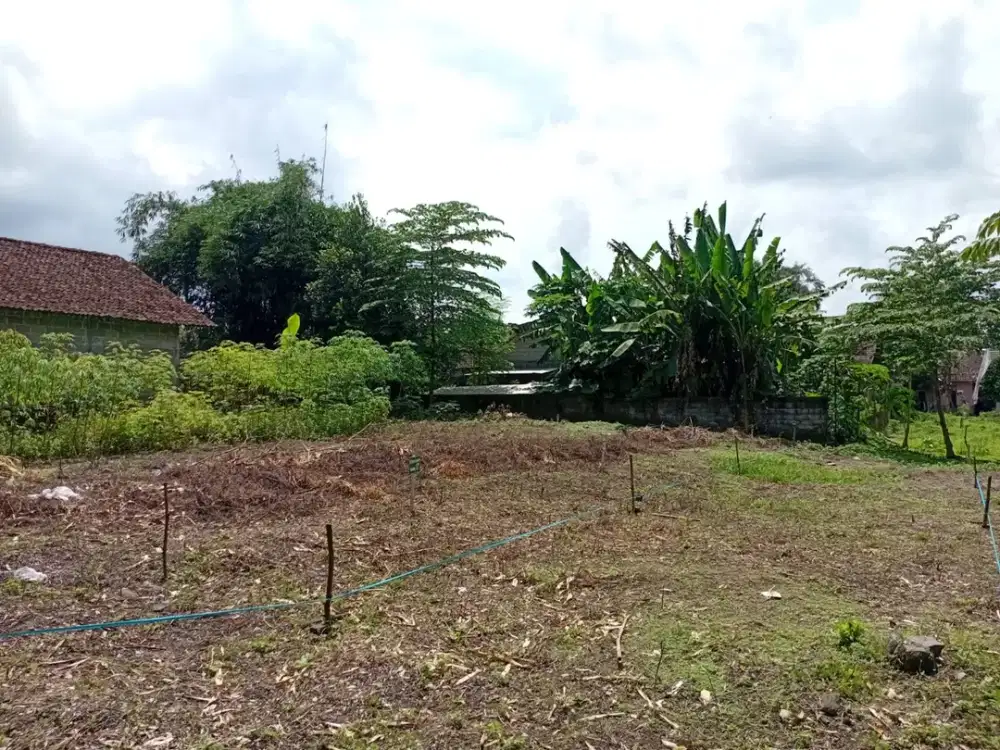 Solusi Rumah Untuk Mahasiswa! Rumah Sleman Ini Harga Nego