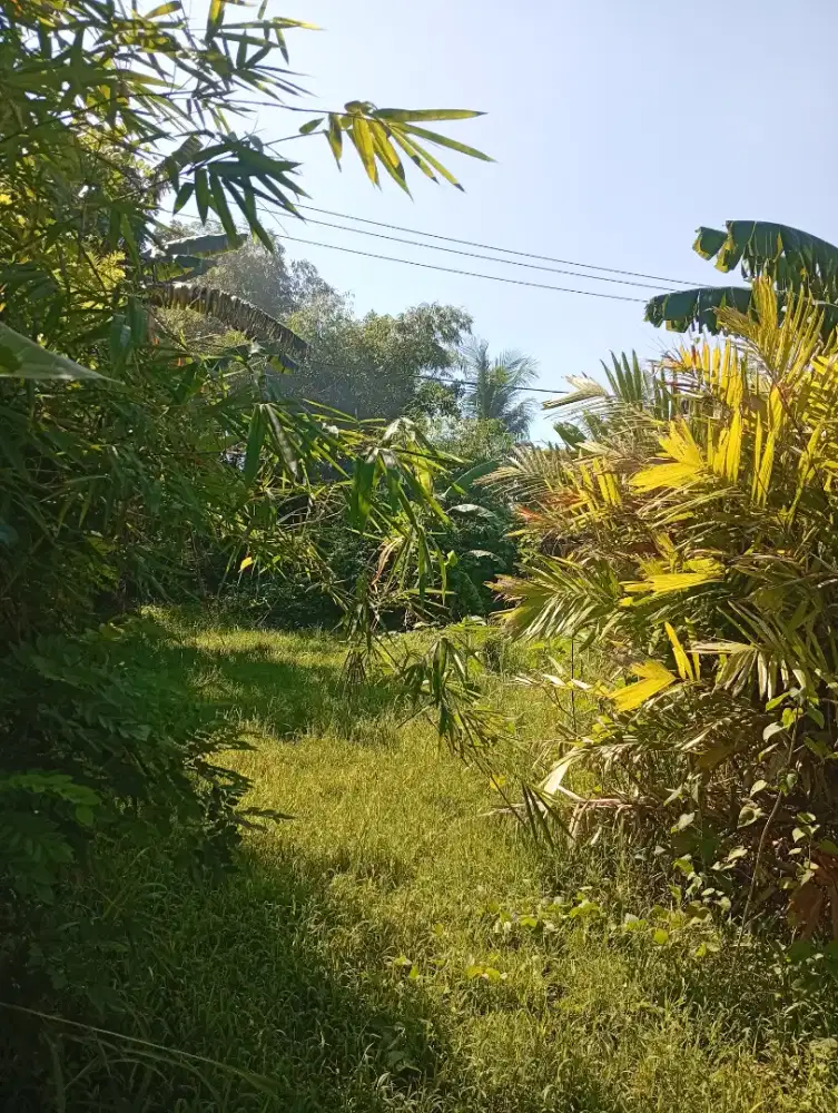 TANAH MURAH 1,86 ARE DESA DUMAN