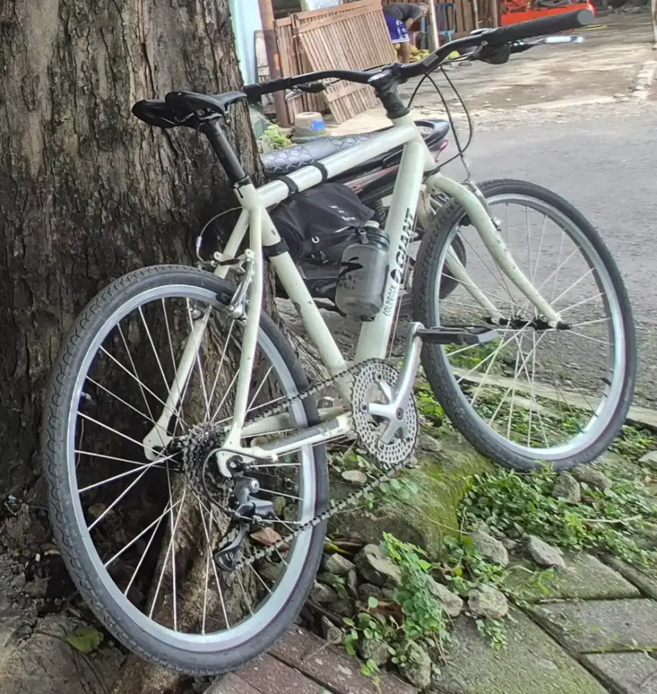 Gravel Bike Giant Coldrock