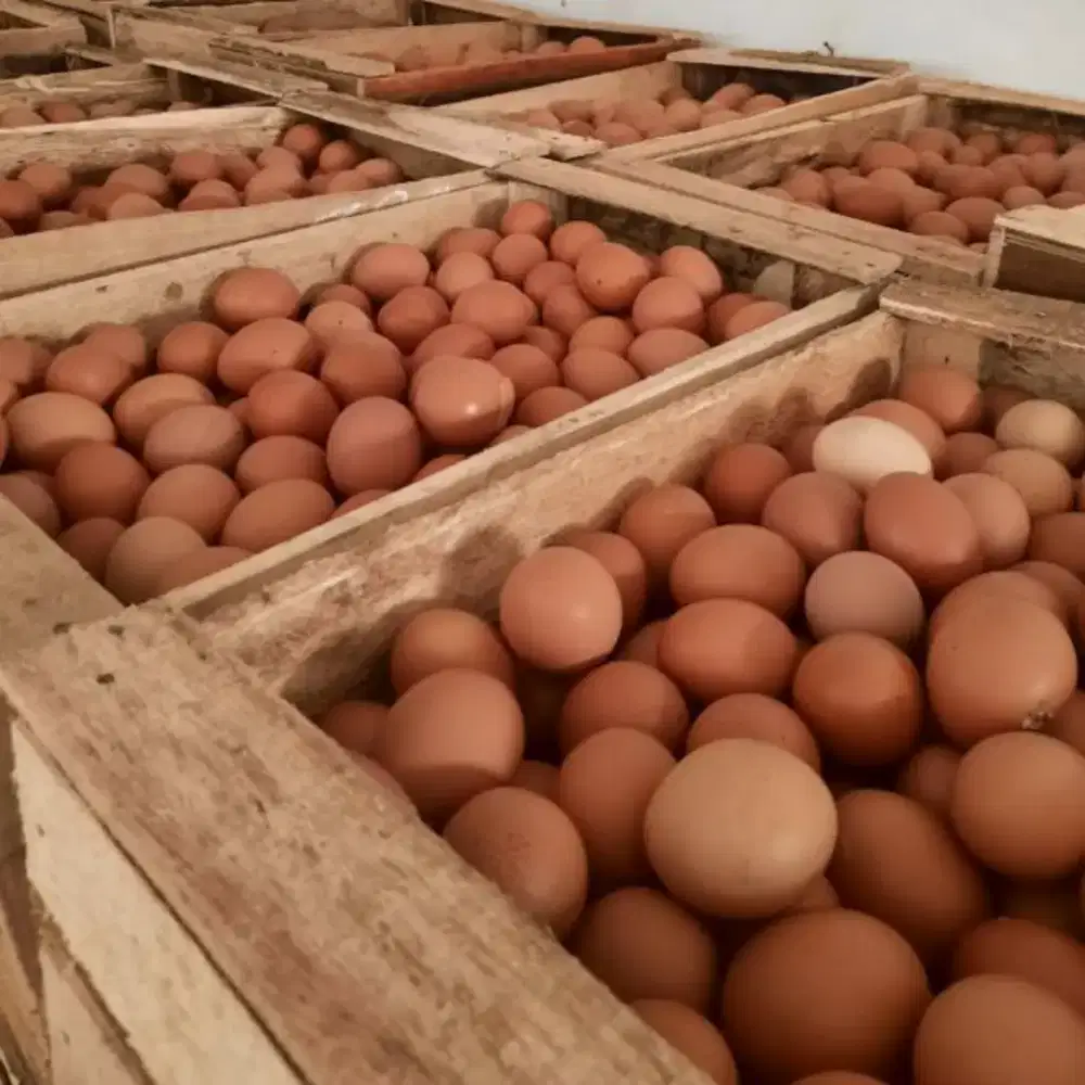 Dibutuhkan Staff gudang. Bagian sortir