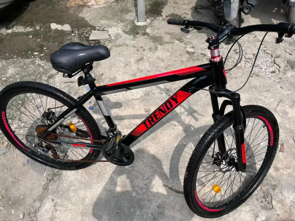 Sepeda MTB trendy