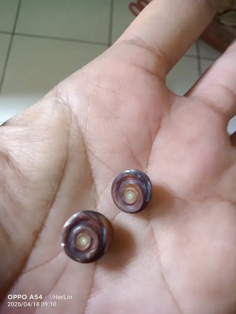 Bat Kol Buntet Sepasang