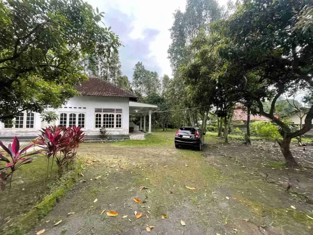 Tanah Asri Strategis Bonus Rumah Klasik Tepi Jalan Utama Area Mlati Dekat RSA. UGM, Jogja City Mall Dan Terminal Jombor