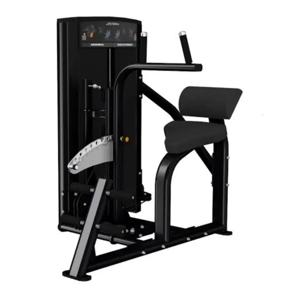 Axiom Back Extension Dual Machine Pin Loaded Life Fitness