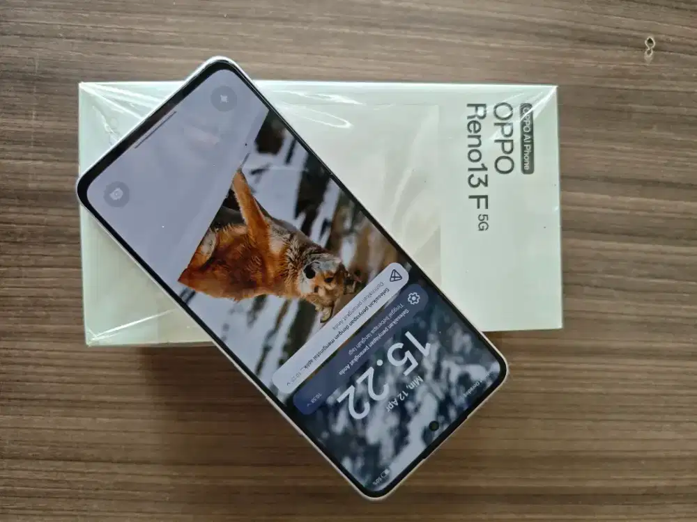 OPPO RENO13F 5G 8/256GB