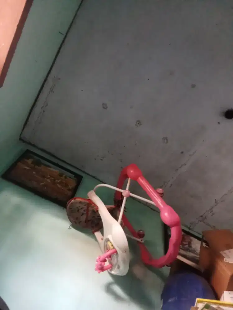 Sugar baby buat jalan balita