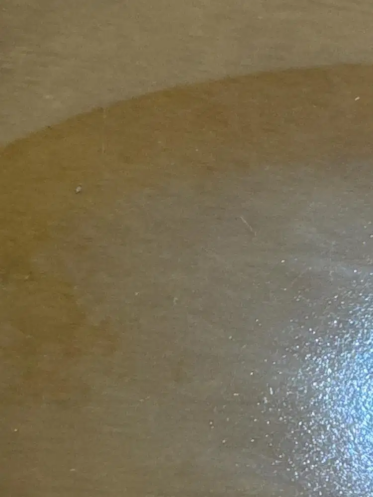 Dicari Host Live Marketing Barang Otomotif Khusus Wanita Pengalaman