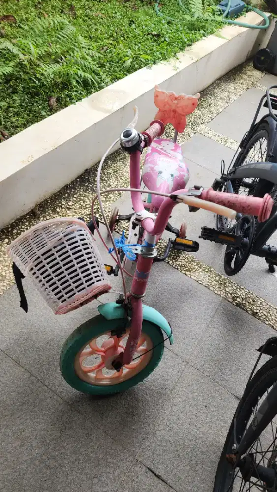 Sepeda anak warna pink