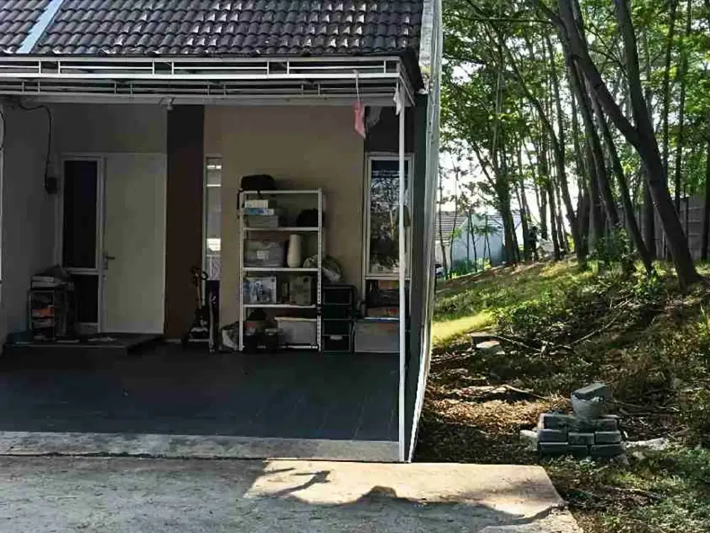 Paling Murah Unit Langka Banyak Pepohonan