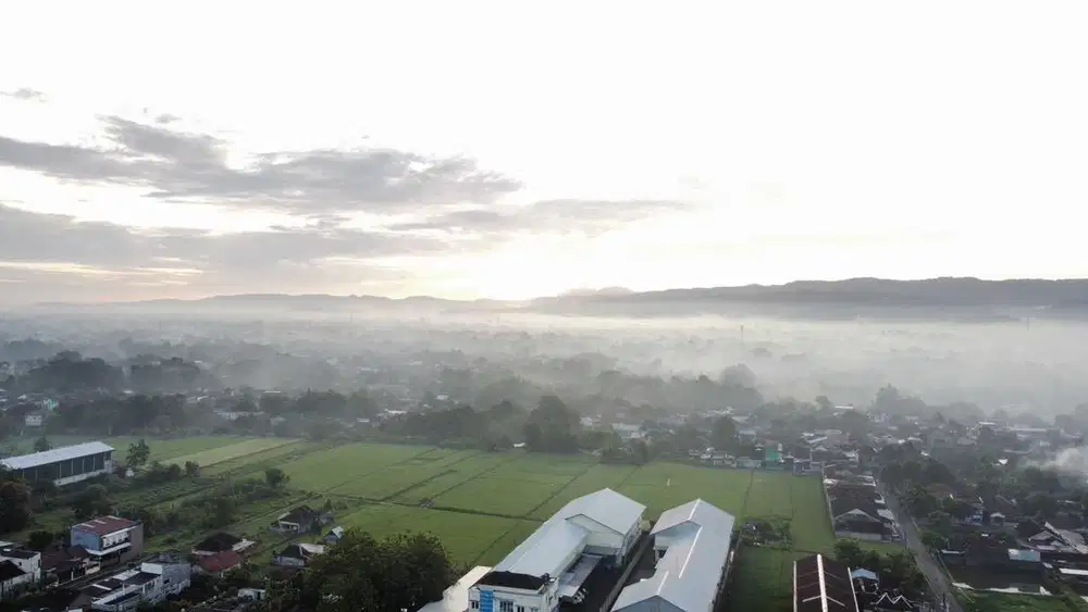 Asisten Rumah Tangga Pocokan