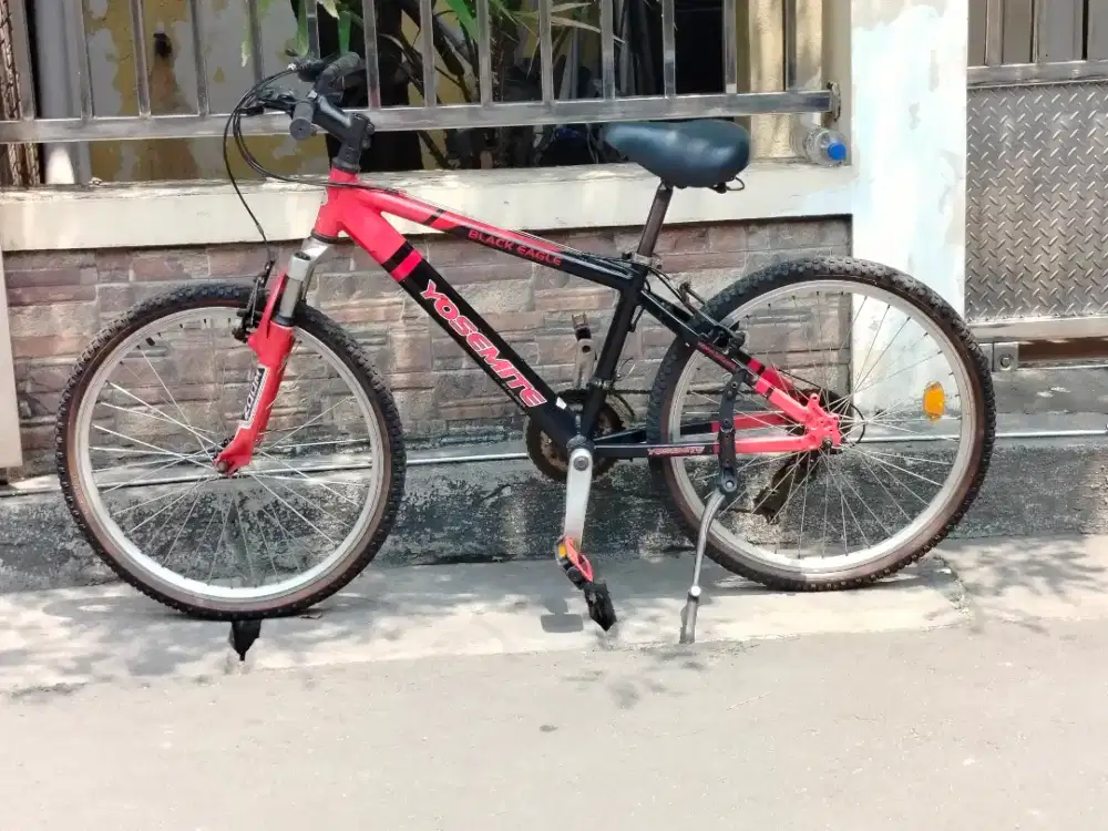 MTB YOSEMITE BLACK EAGLE R24