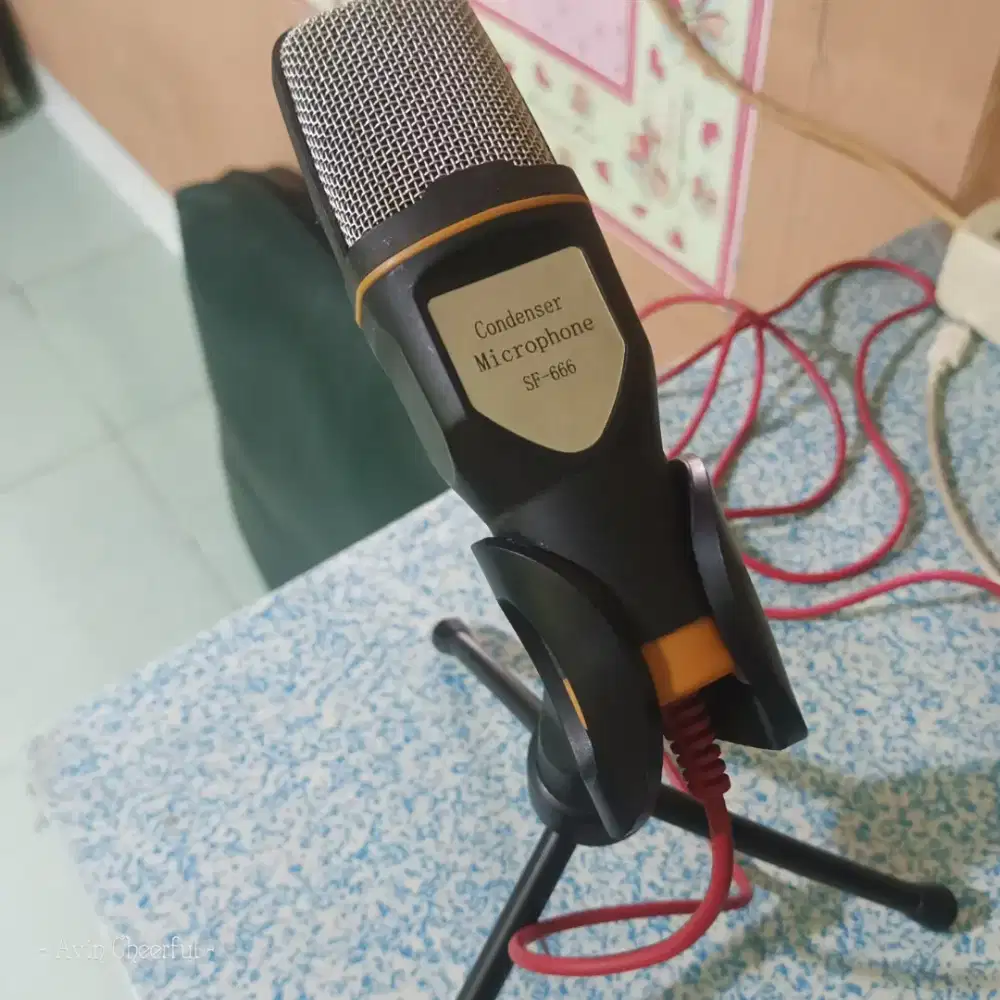Microphone SF666