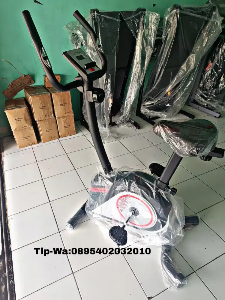 Sepeda statis magnetic