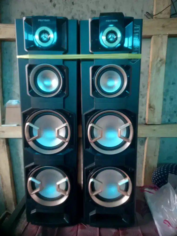 Speaker Polytron