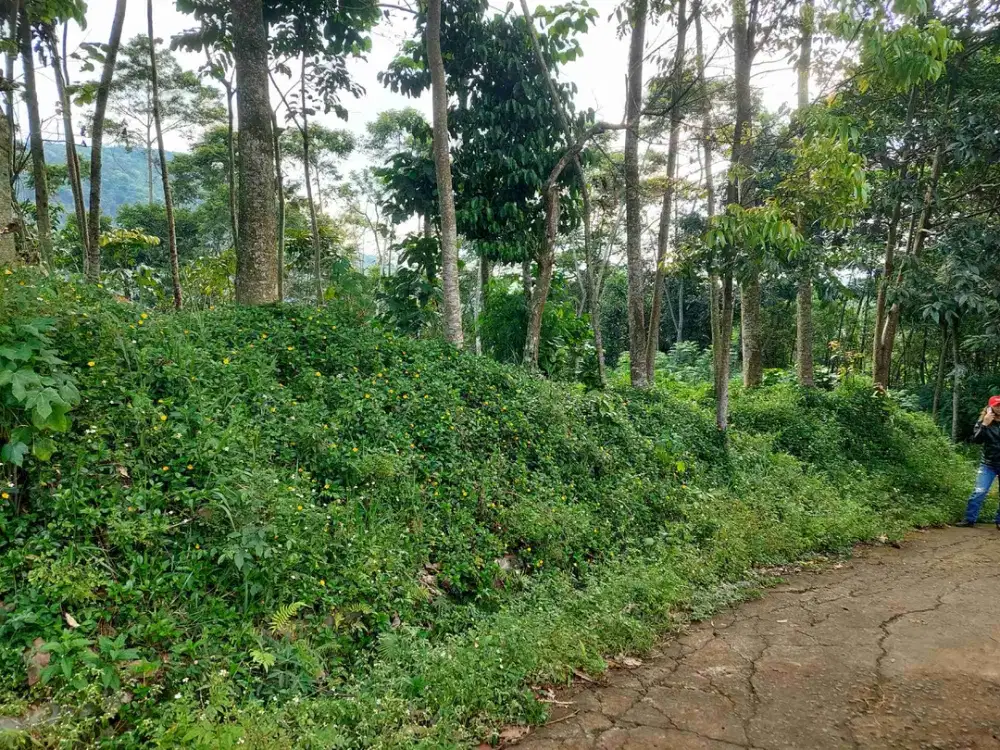 Tanah 25 bata siap bangun, samping perum