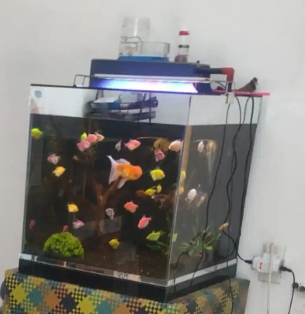 aquarium full set