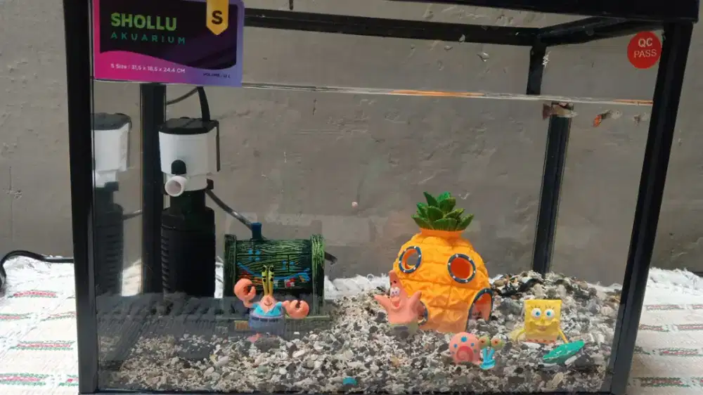 Aquarium mini full set +acesoris Spongebob.