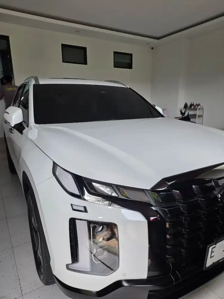 Palisade 2023 pemakaian 2024 milik sendiri