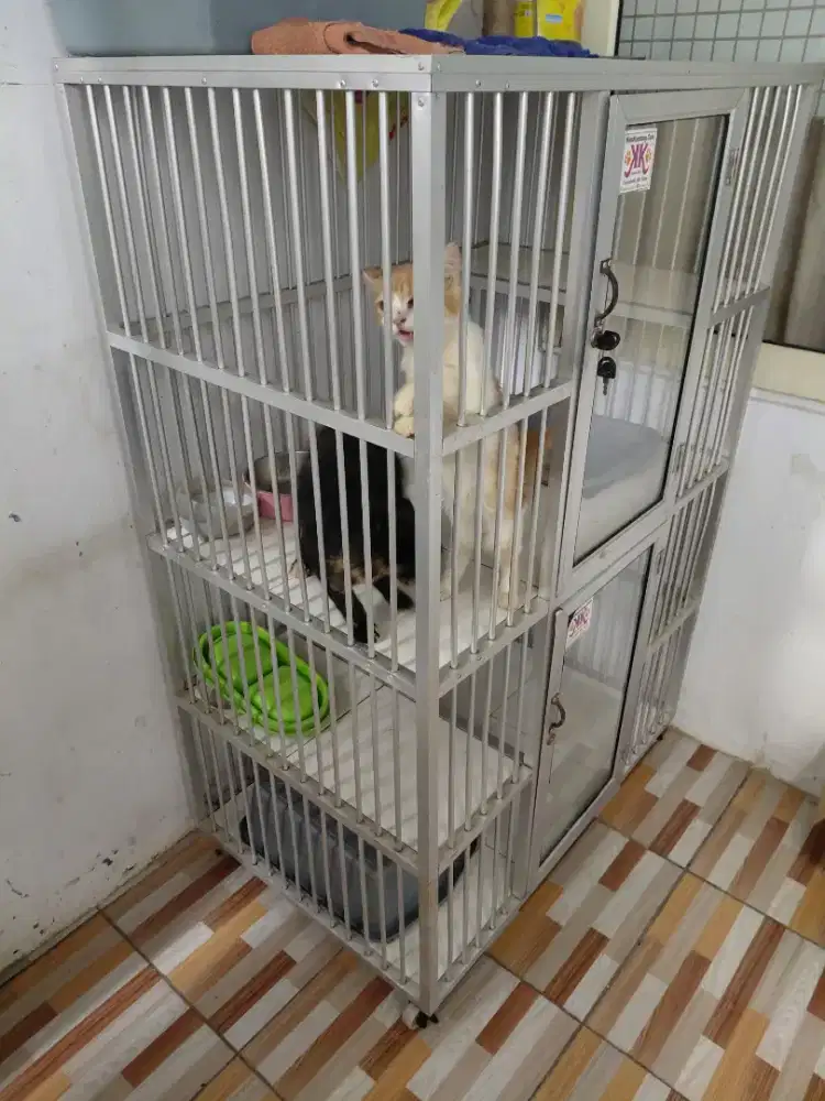 Kandang kucing tingkat